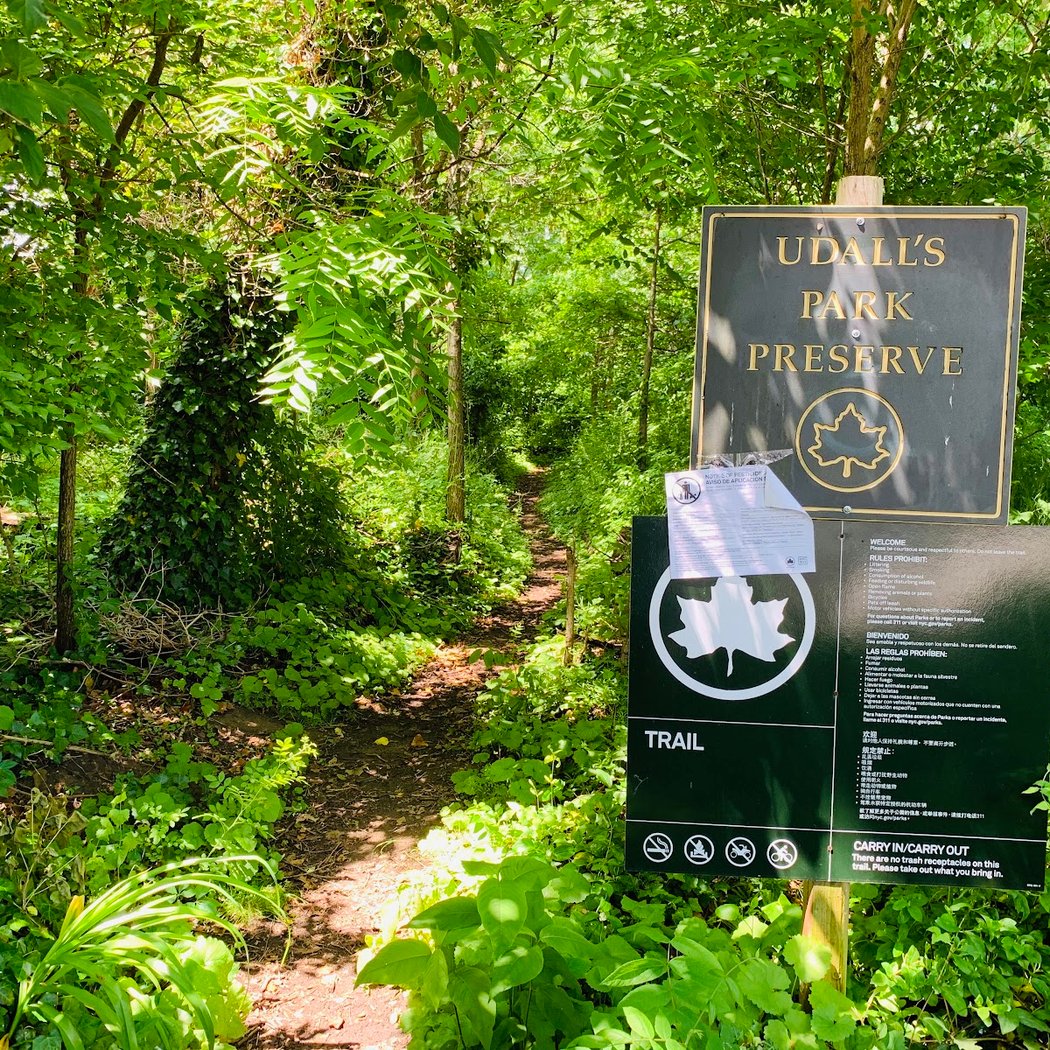 Udall's Cove And Ravine Natural Resource Area 3