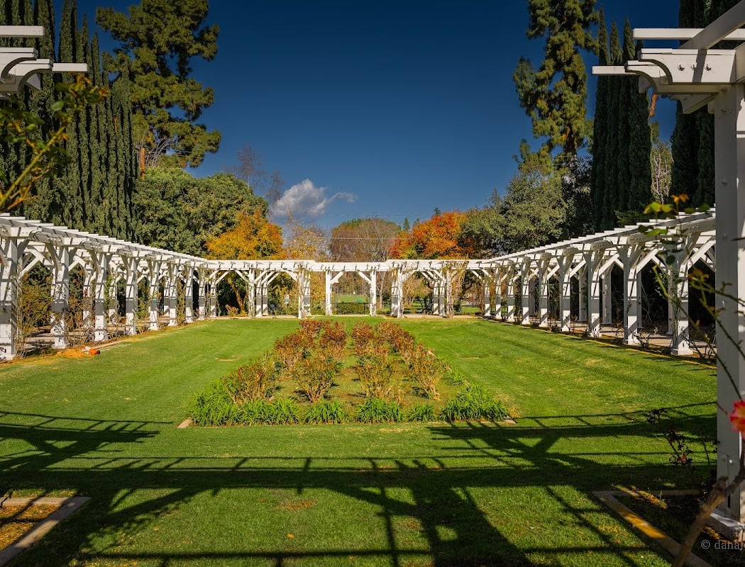 Lacy Park 1