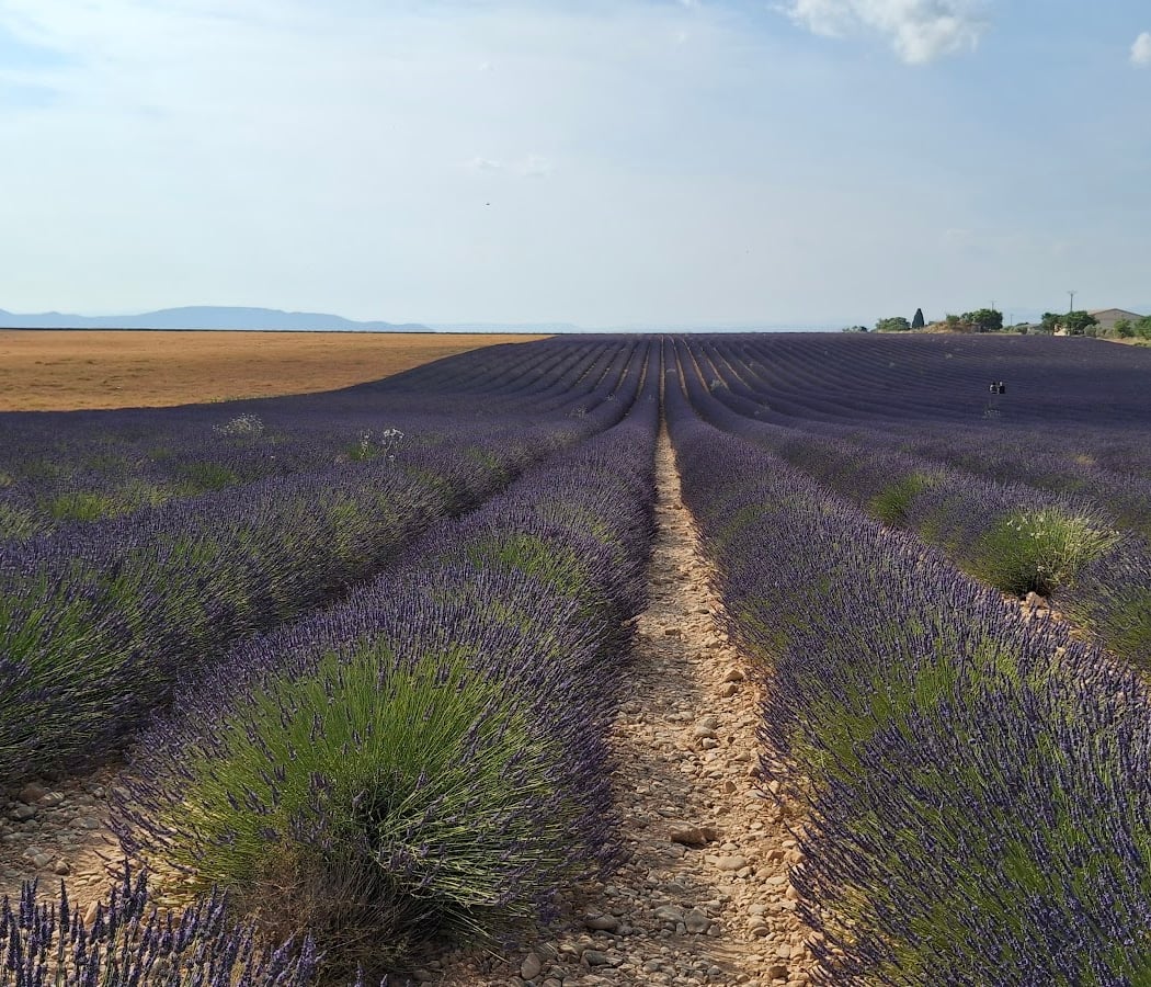 Route de la Lavande 2