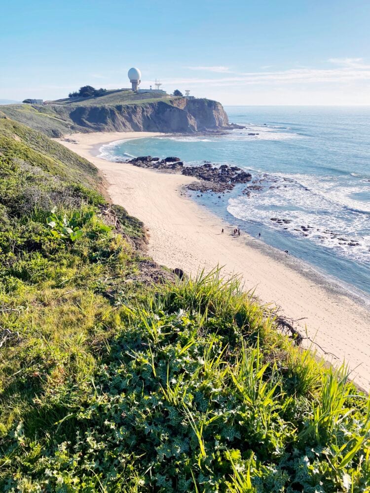 Pillar Point Bluff 1