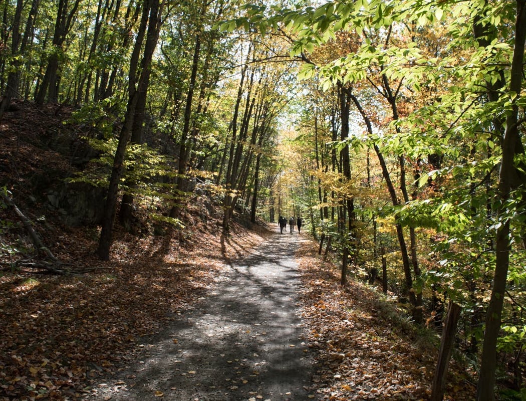 Old Croton Aqueduct Trail 2