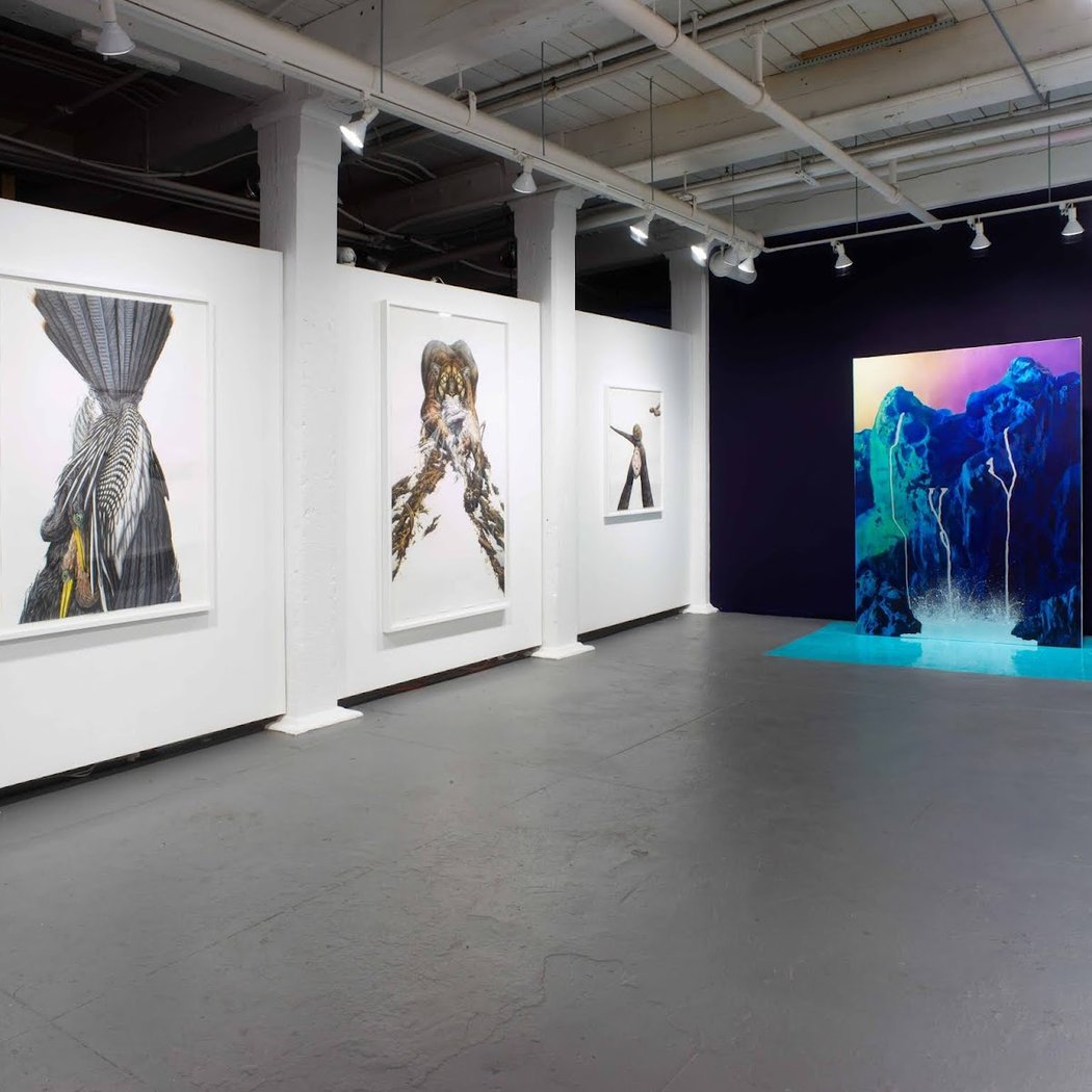 Solo Exhibition Samuel Alexander Forest A Bag of Tricks 1