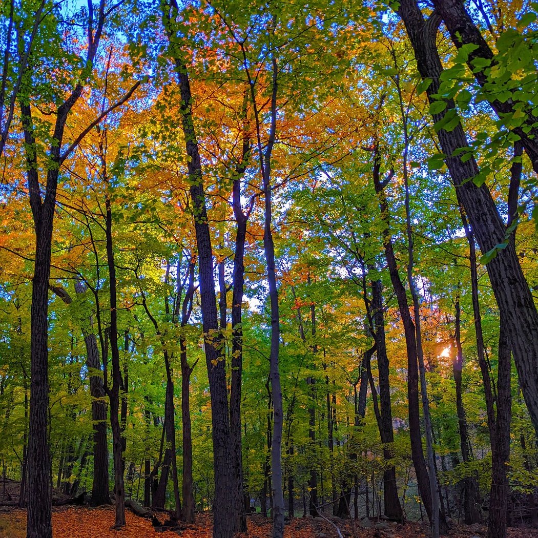 High Mountain Park Preserve 1