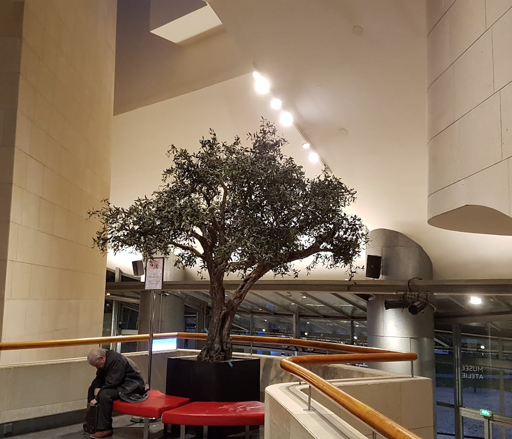 Nuit des Musées 2025 3