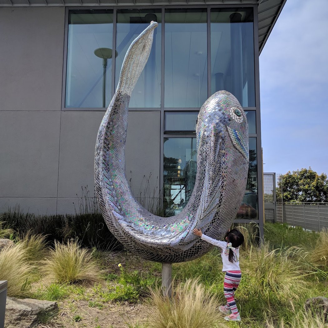 West Sunset Playground Park 1