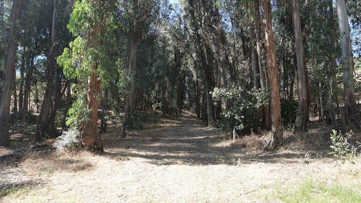 Greater Vallejo Recreation District 2