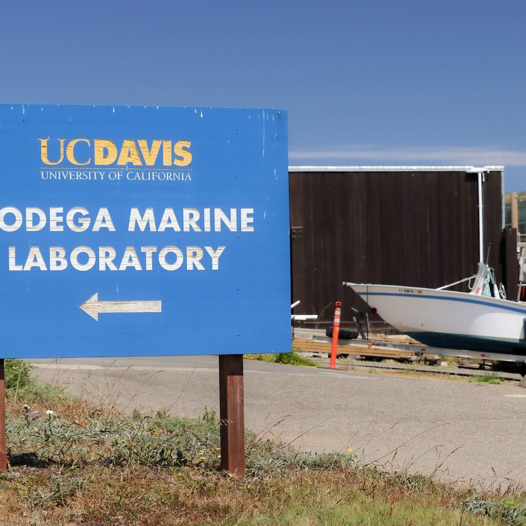 Free, docent-led tours of the UC Davis Bodega Marine Laboratory 3