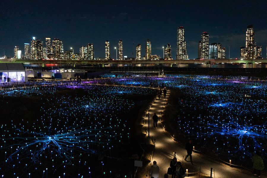 Field Of Light 1
