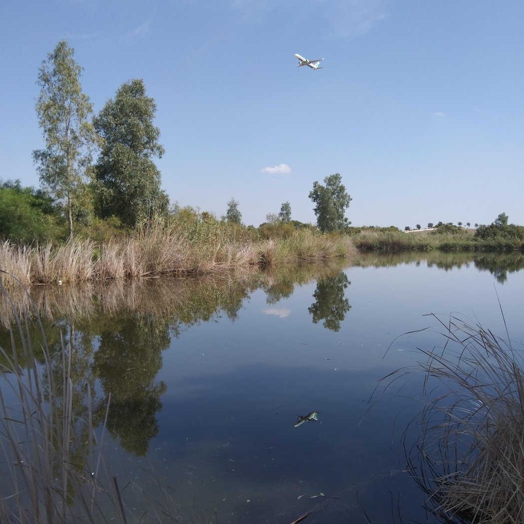 Parque del Tamarguillo 1
