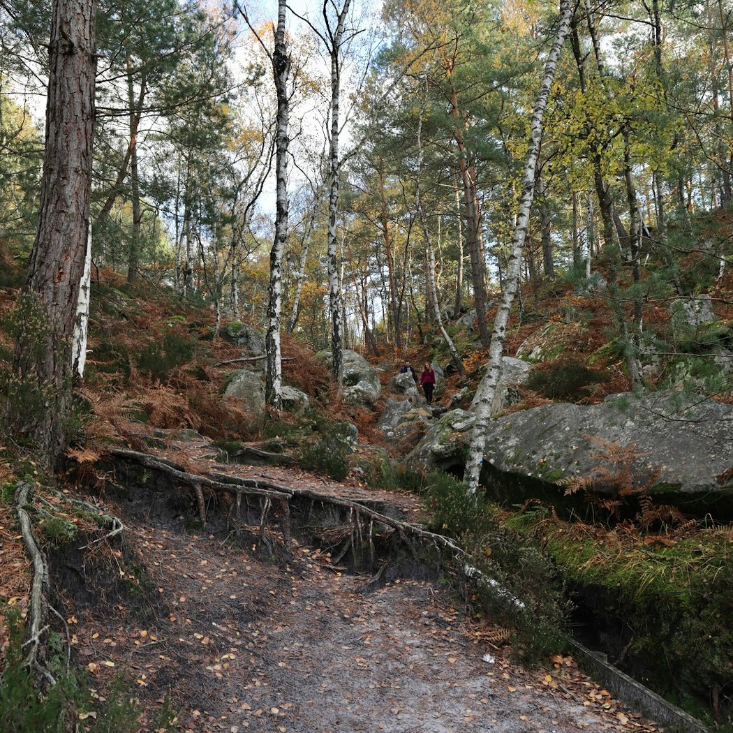 Gorges et Platières d'Apremont 3