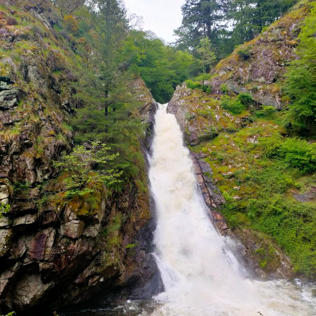 Balade botanique gourmande au Parc Vuillier – Cascades de Gimel (23 mai 2026) 2