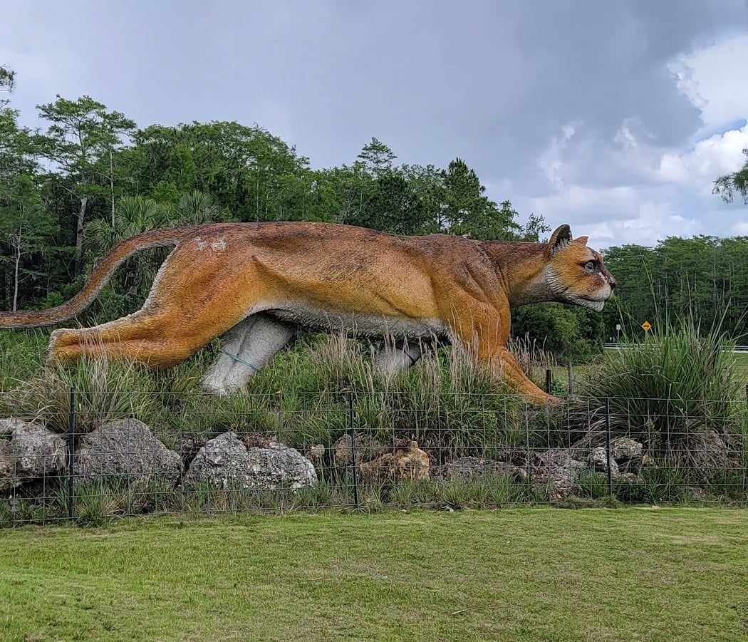 Skunk Ape Research Headquarter 2