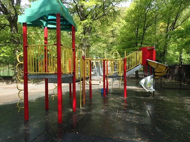 Emerson Playground 1