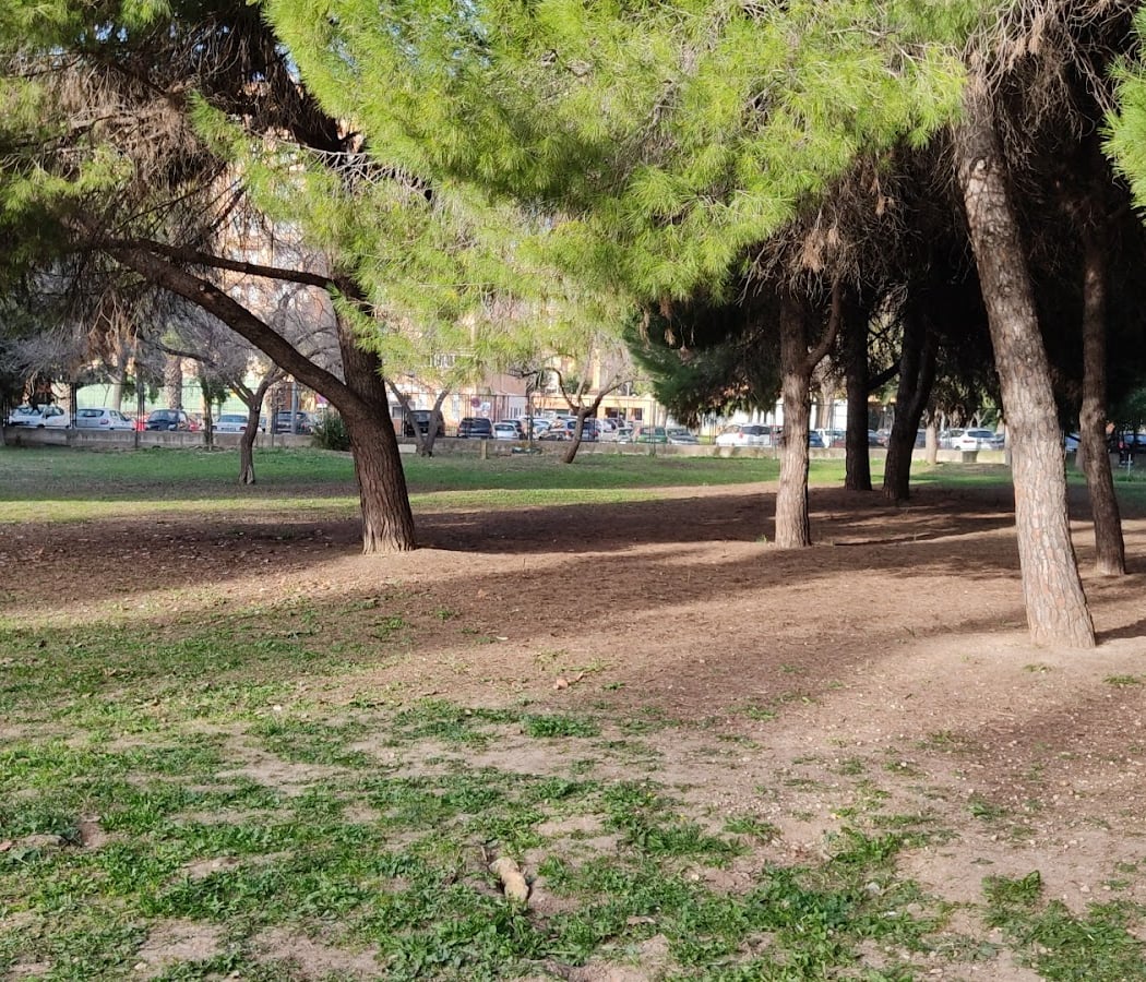 para perros Park 2