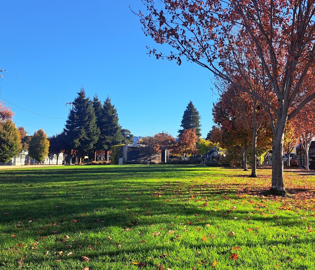 Doyle Hollis Park 1