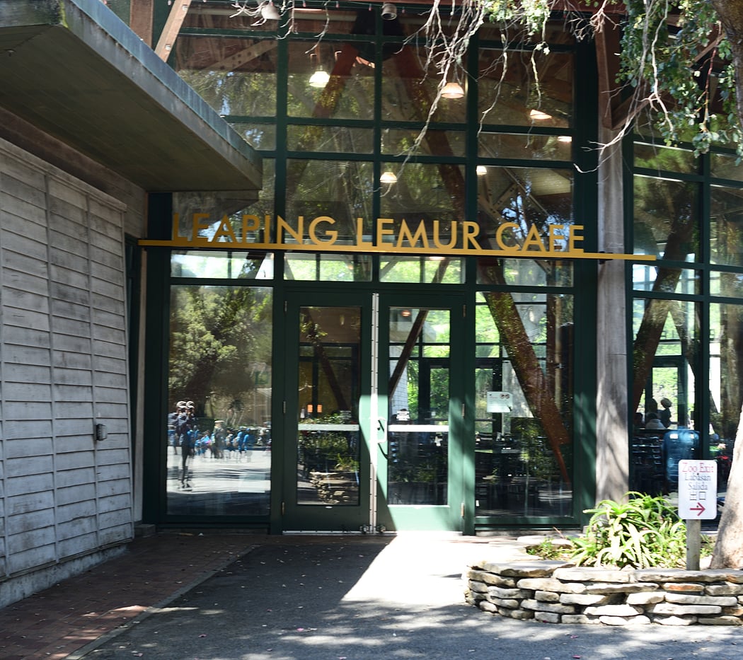 Leaping Lemur Cafe 2