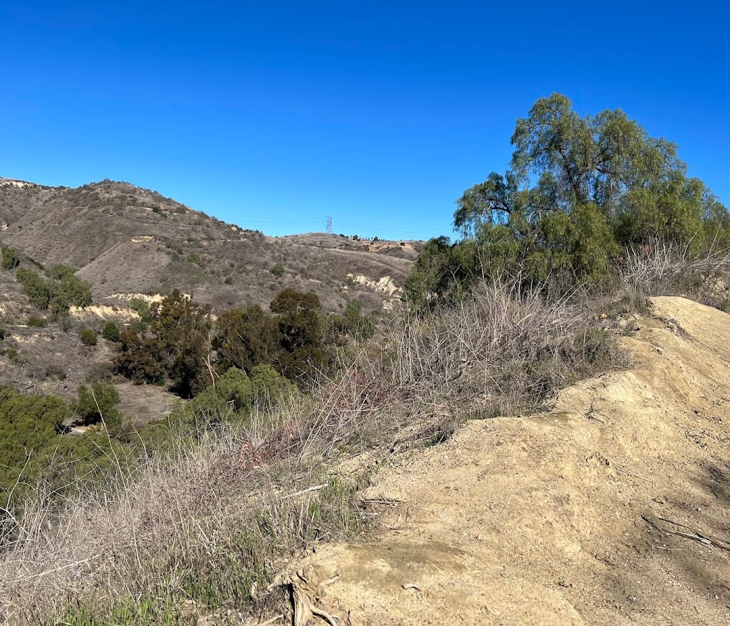June Hike – Discover 22 Species 2