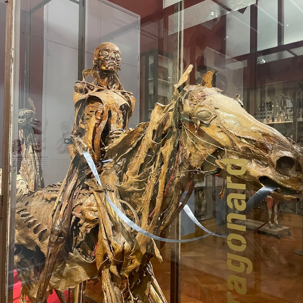 Visite guidée du Musée Fragonard 1