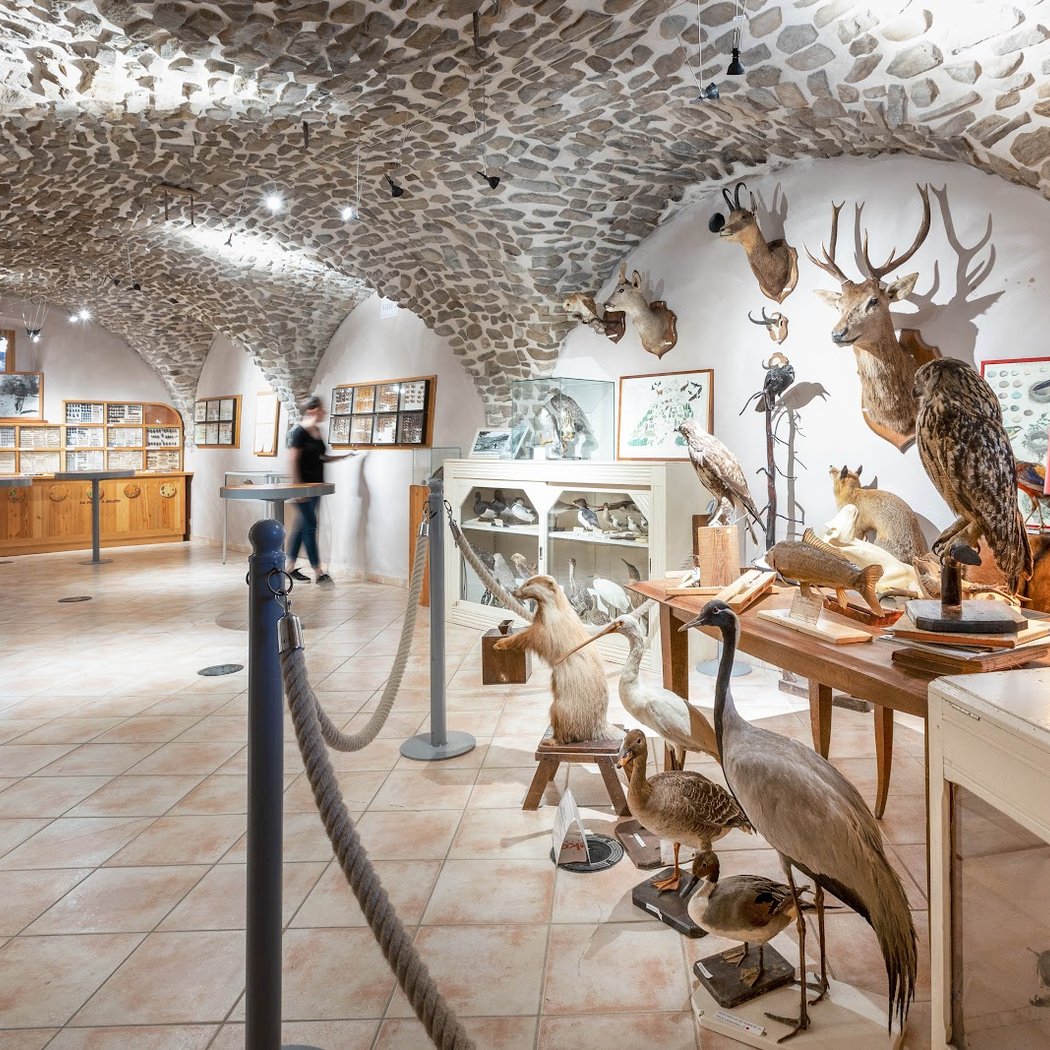 Ecomusée de la faune "Le refuge des animaux" 2