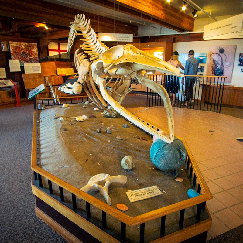 Kenneth C. Patrick Visitor Center