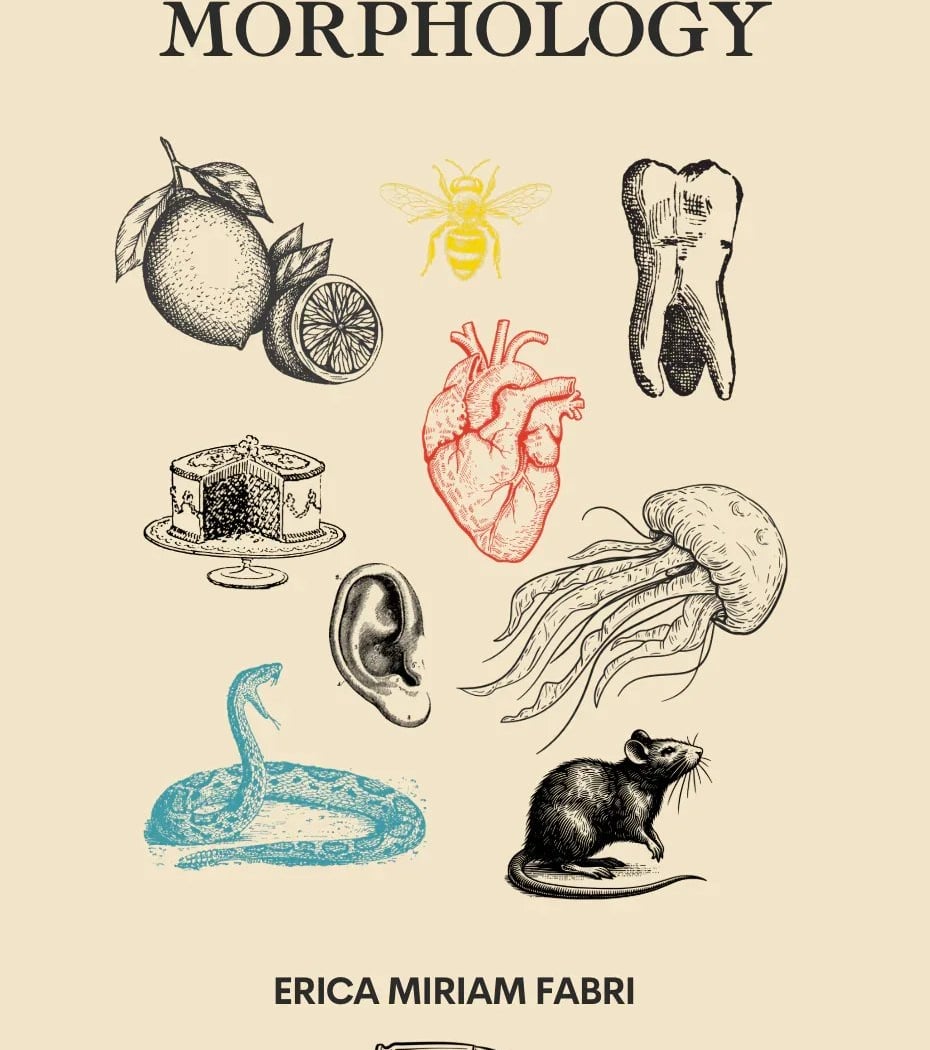Uche Nduka & Erica Miriam Fabri — The Word Is Change 1