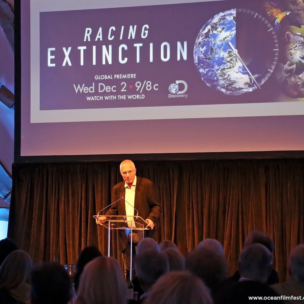 International Ocean Film Foundation 3