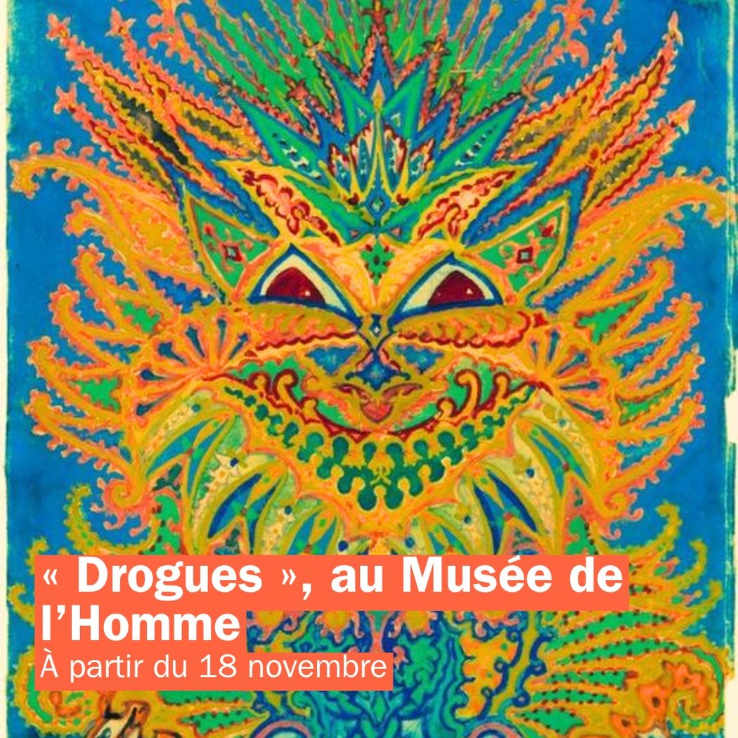 Drogues 1
