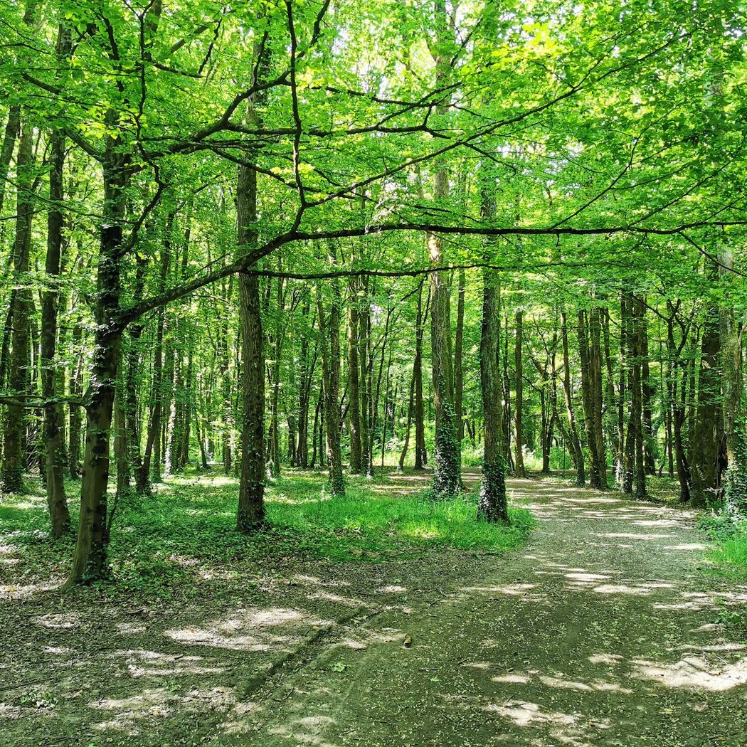 Parc de la Gournerie 4