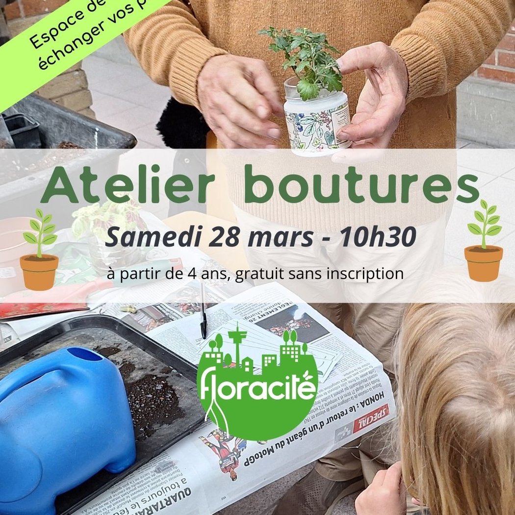 Atelier boutures et troc de plantes 1