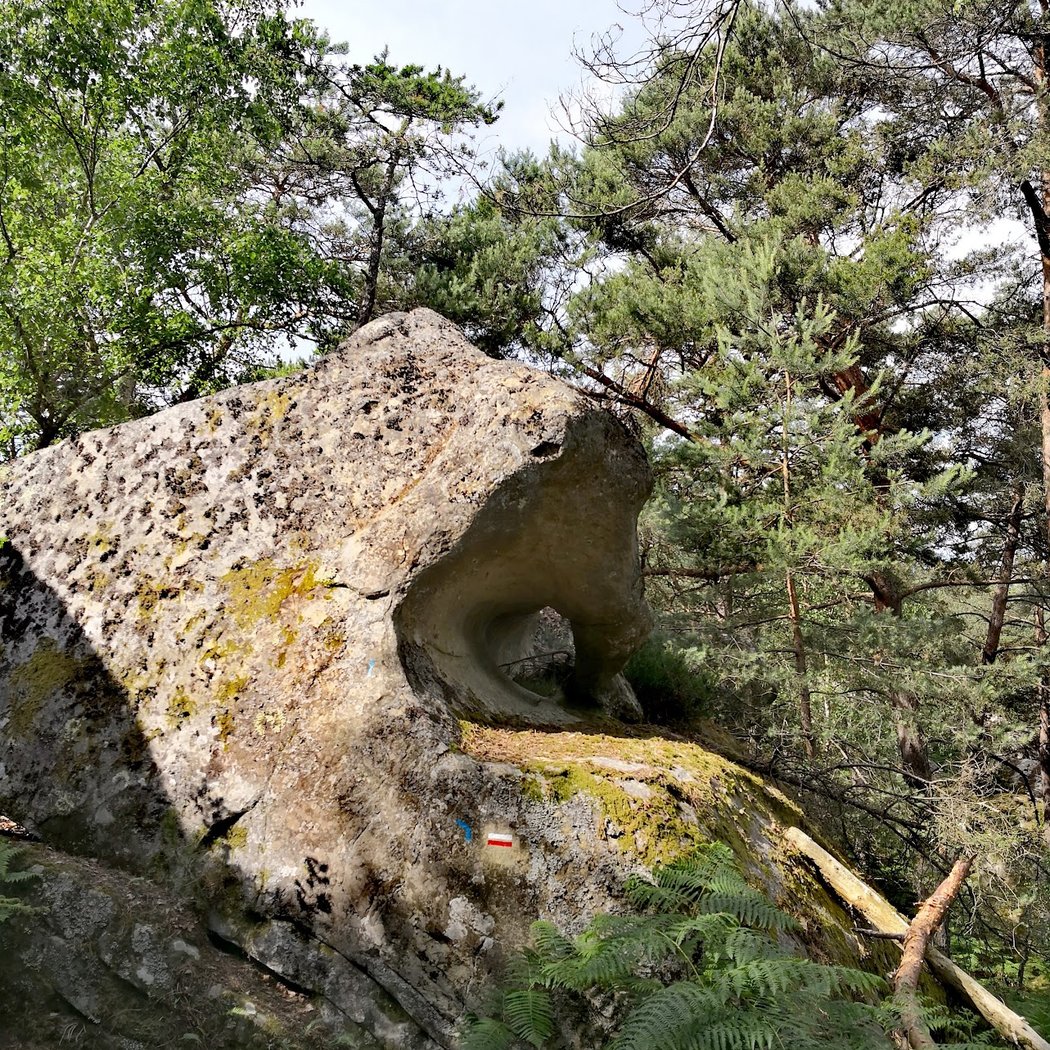 Rocher des Demoiselles 1