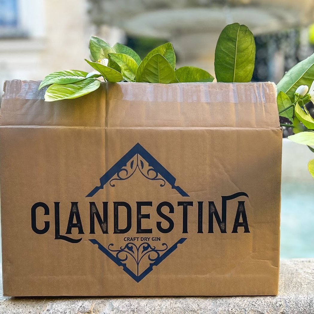 Clandestina Gin 3