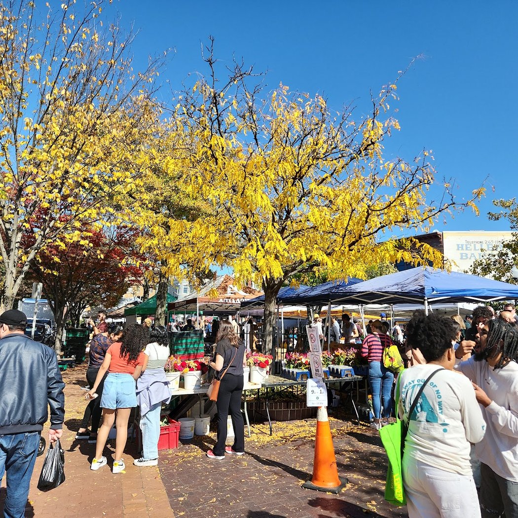 Pollinator Fest 3