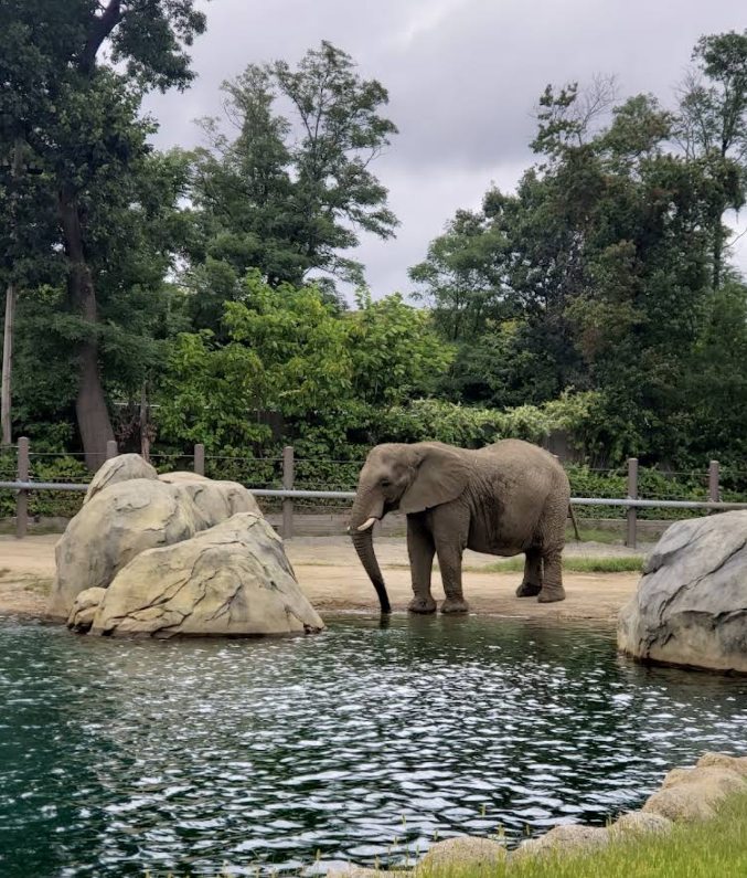 Brew at the Zoo 2