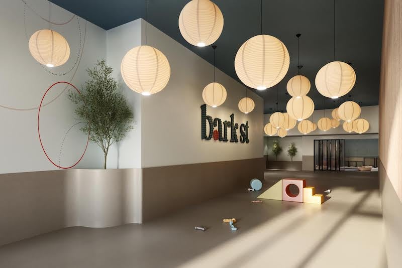 Bark Street - Dog Daycare & Grooming 2