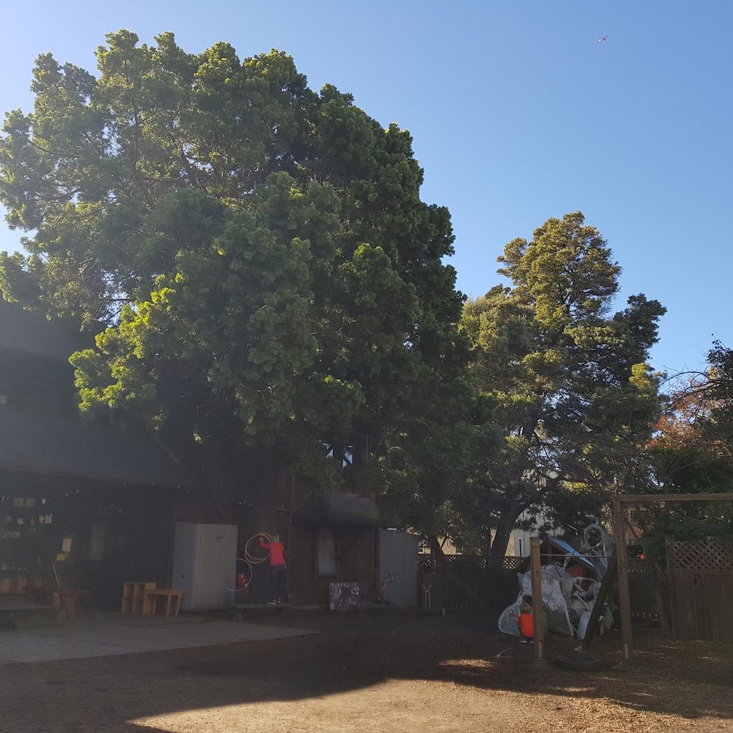 Berkeley Fellowship of Unitarian Universalists 2