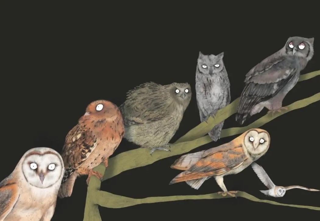 Les animaux dans les livres : rencontres et dédicaces 1