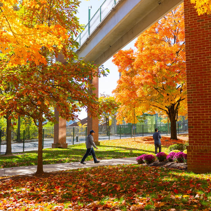 Manhattan University 1