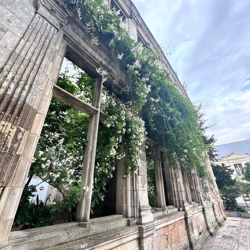 Beaune-Semblançay Garden 1