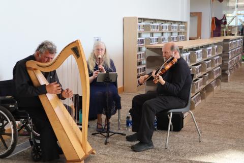 Celtic Harp Trio