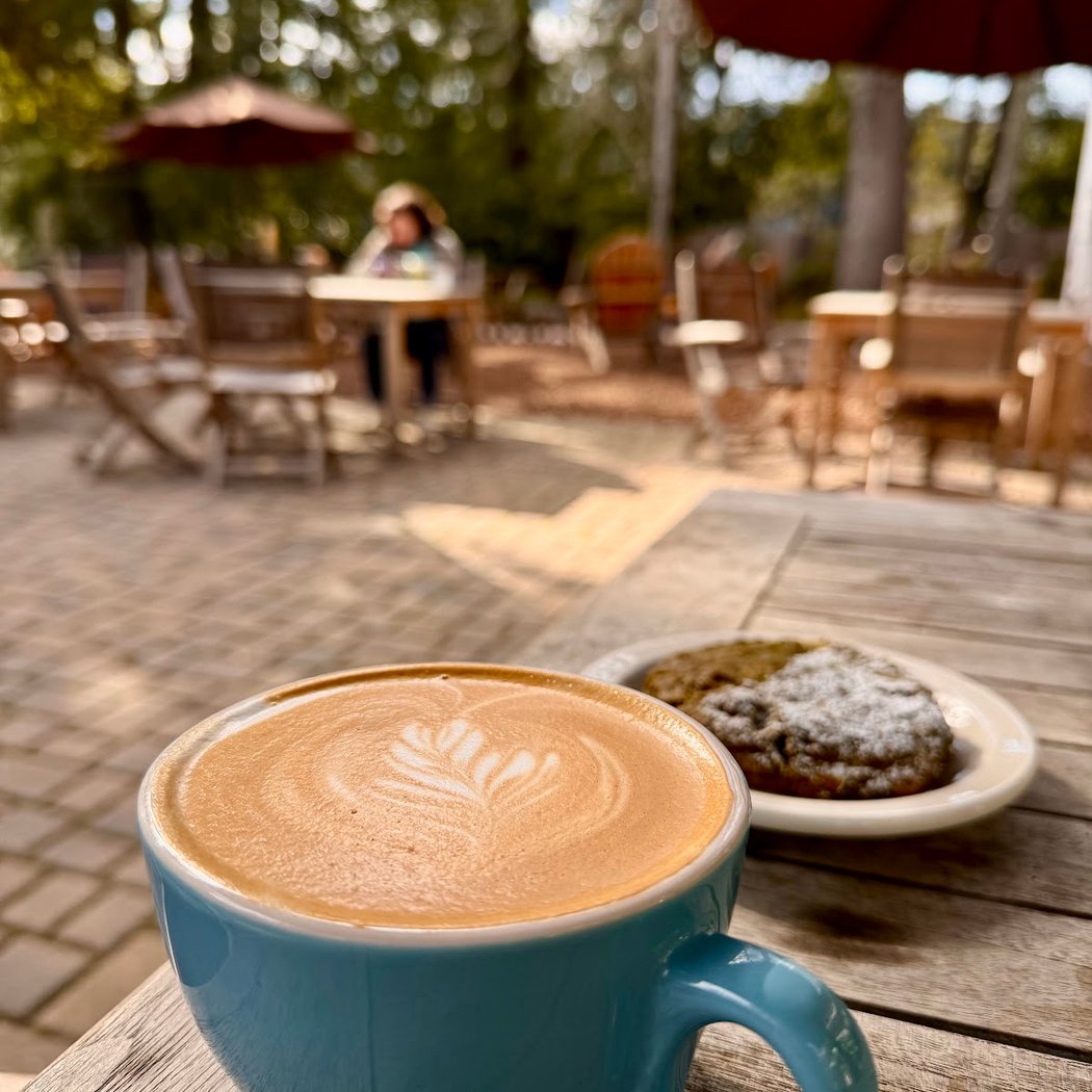 The Village Hub Coffee Bar and Garden 1