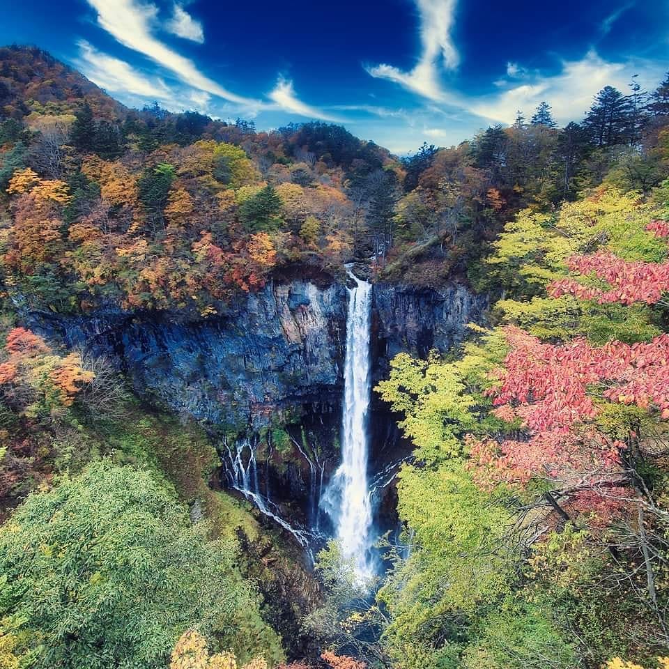 Nikko 2