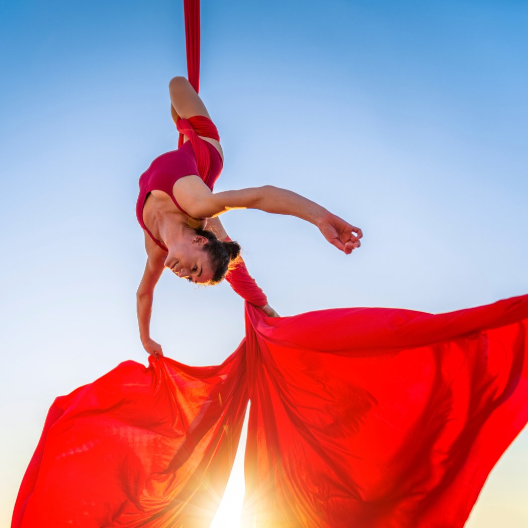 Aerial Dance Marin 1