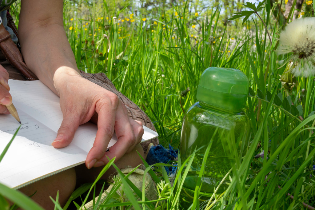 Nature Journaling: Beginner