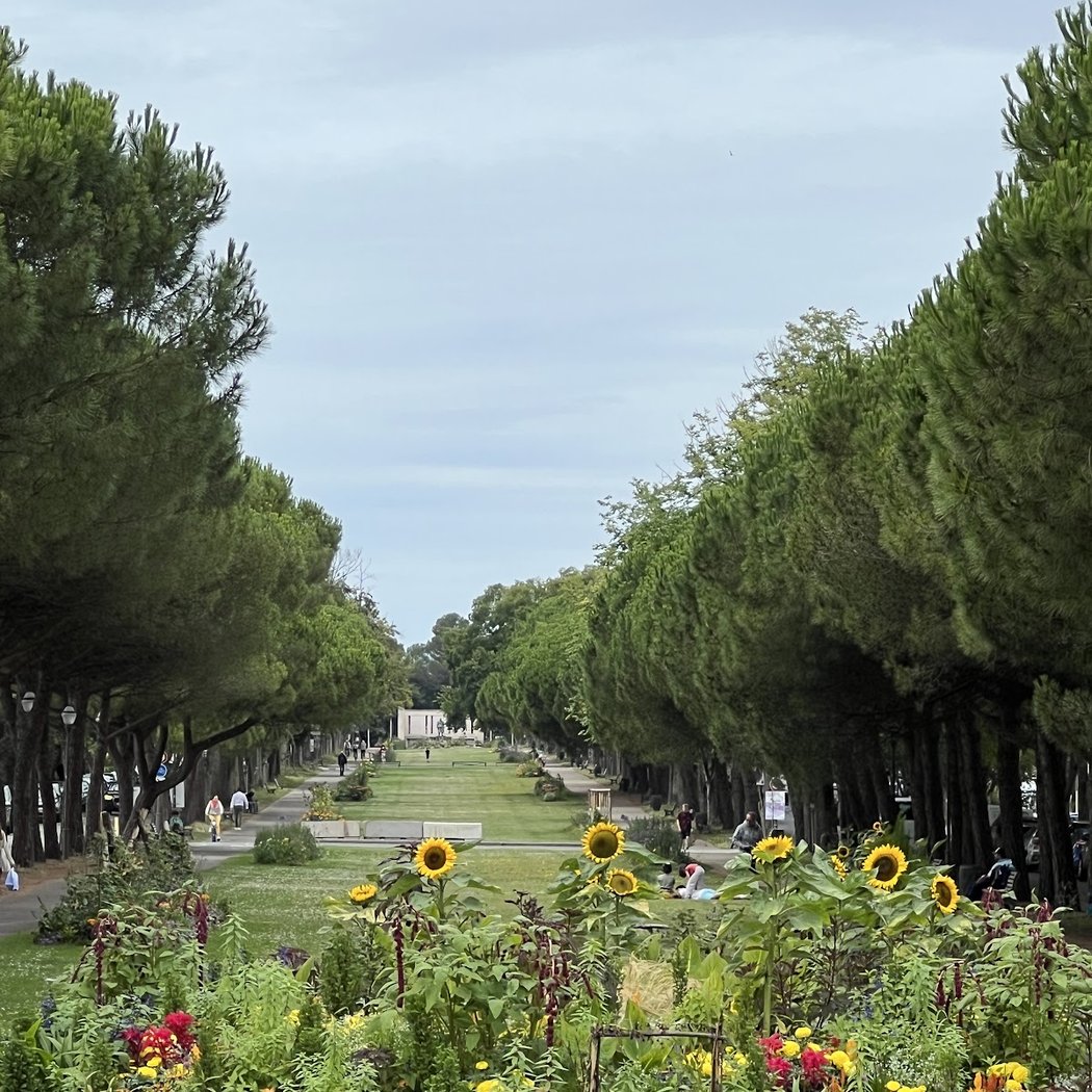 Le parc Charruyer 1