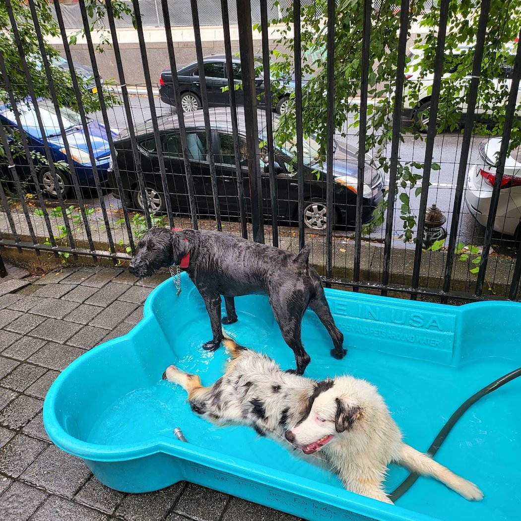 Fishbridge Park Garden Dog Run 1