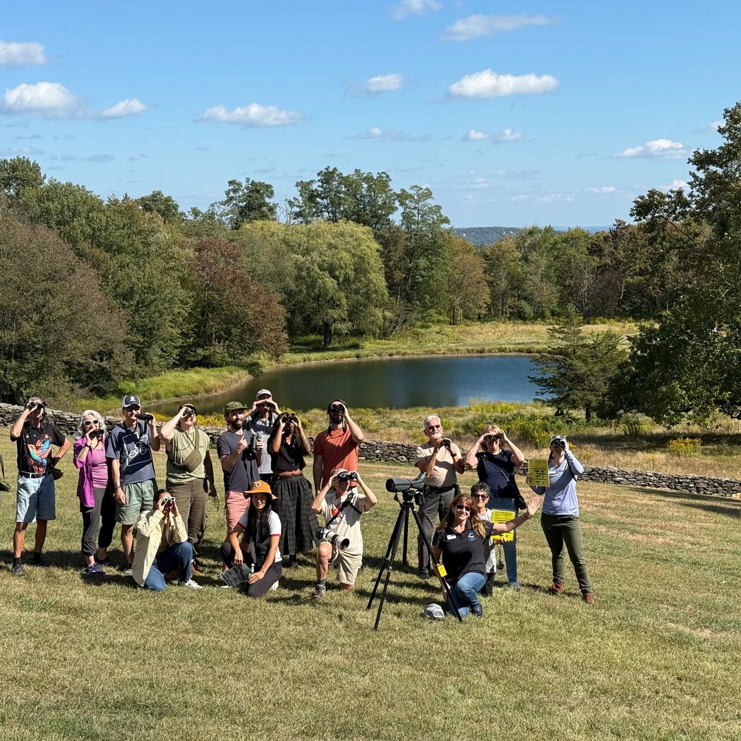 Deer Pond Farm 2
