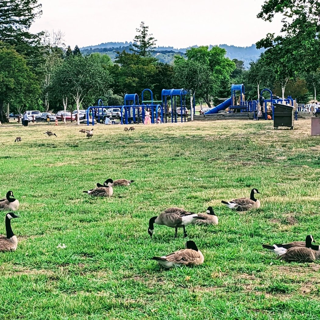Playground | Vasona Lake 2