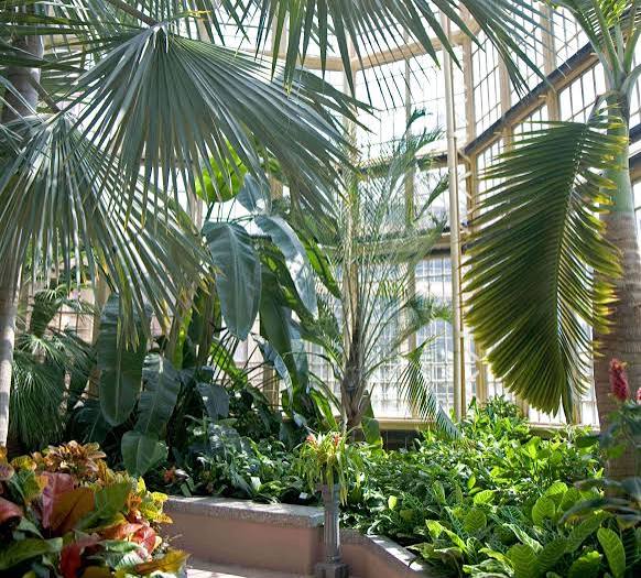 Rawlings Conservatory 3