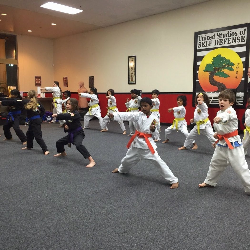 United Studios of Self Defense 2