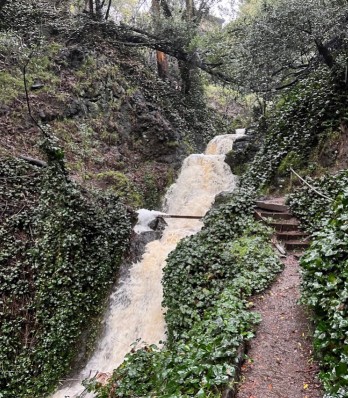 Codornices Park 2